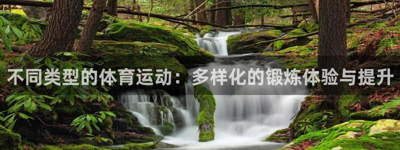 kok新版中欧体育