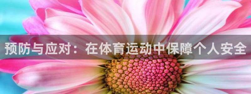 kok中欧体育登录