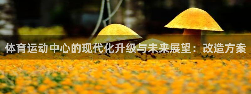 中欧体育官网