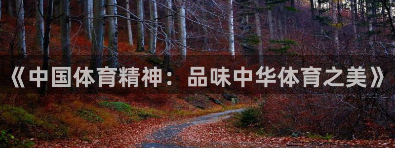中欧体育网页版