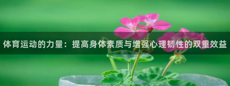中欧体育集团