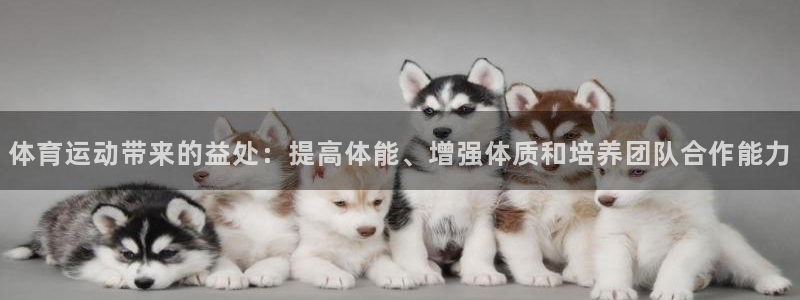 中欧体育最新地址