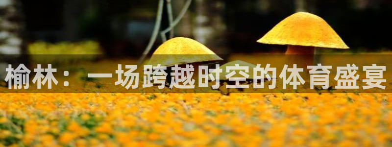 kok新版中欧体育