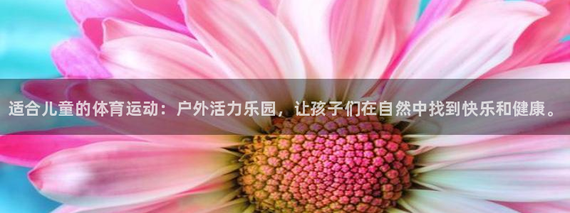 kok中欧体育