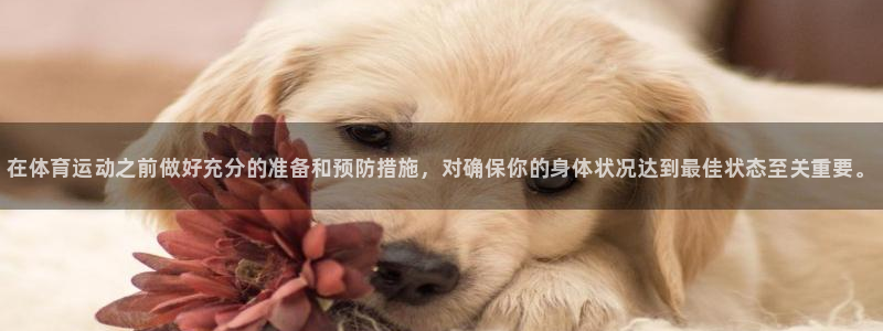 zoty中欧体育网址多少