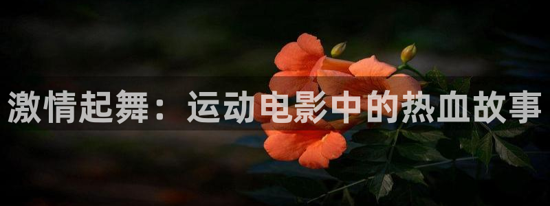 中欧体育ios