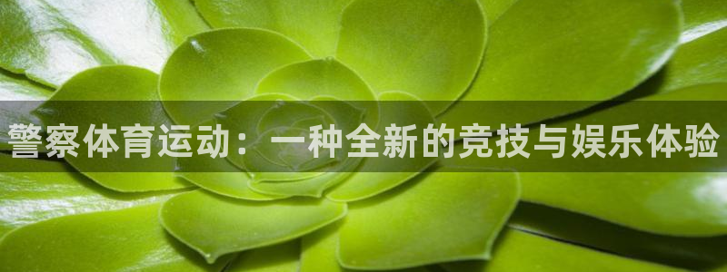 中欧体育官网入口