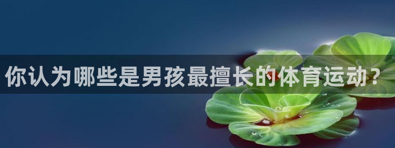 中欧体育登录