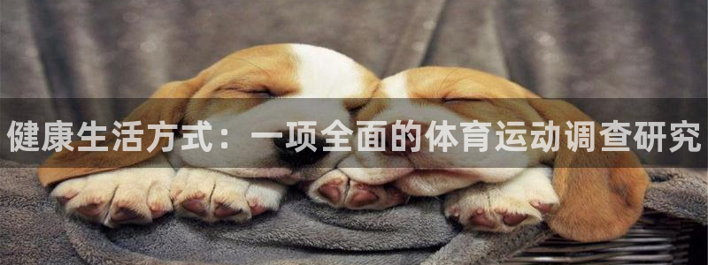 中欧体育网址