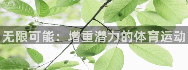 中欧体育官网入口