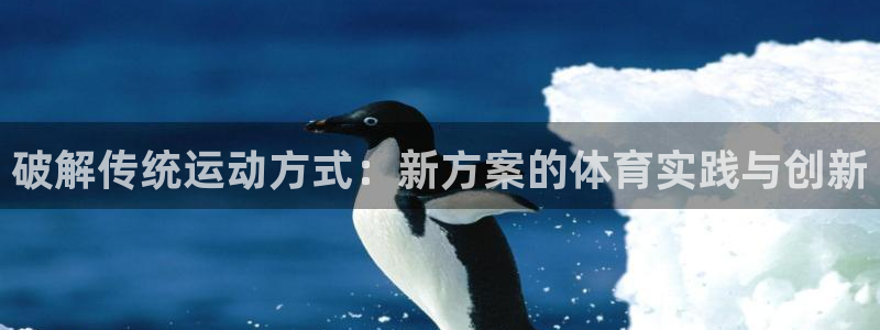 中欧体育官网