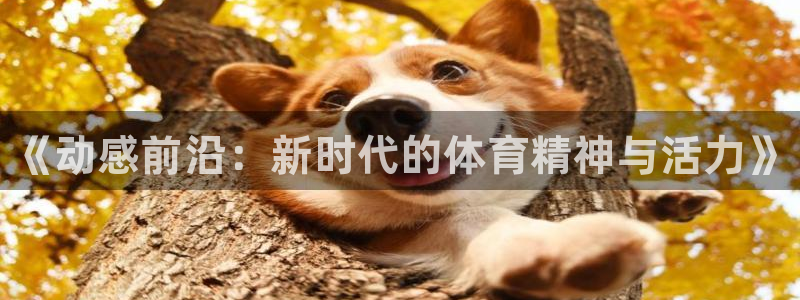 中欧体育网站