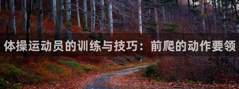中欧体育平台
