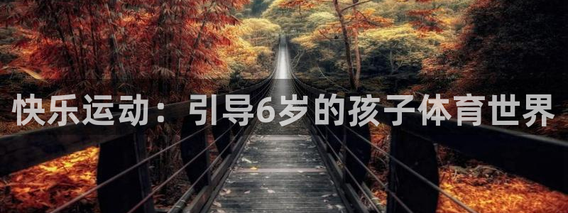 中欧体育网页版