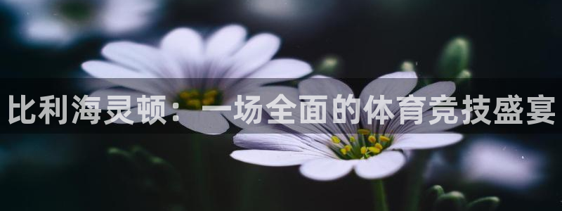 zoty中欧体育平台