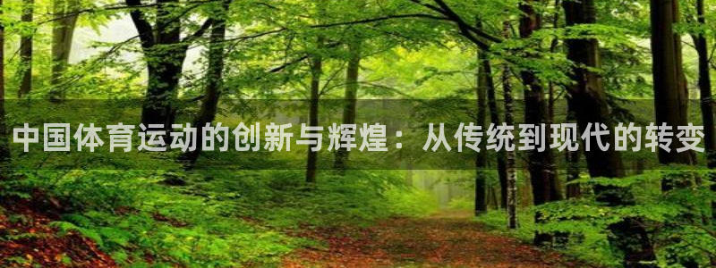 中欧体育在线