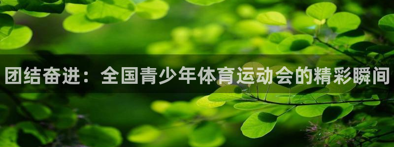 zoty中欧体育平台