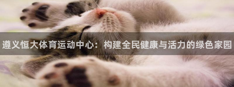 中欧体育平台