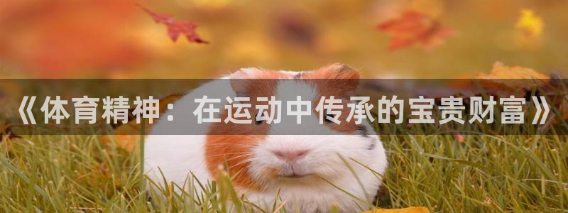 中欧体育下载