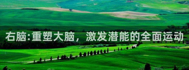 中欧体育平台