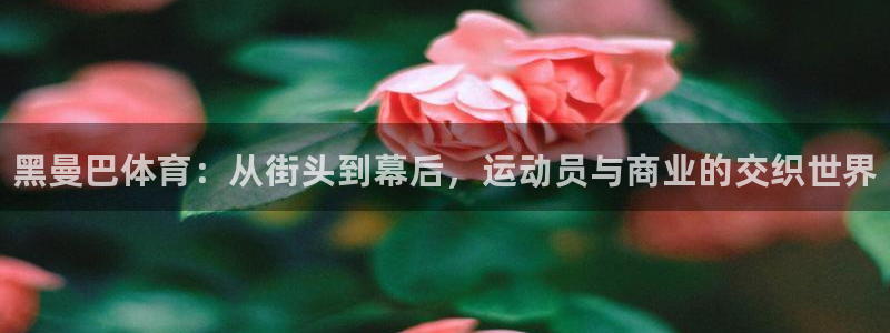 中欧体育网页登录