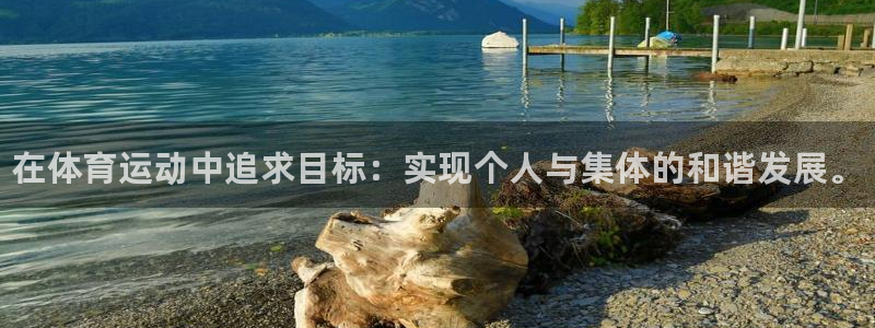 中欧体育网址