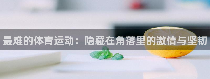 中欧体育官网入口