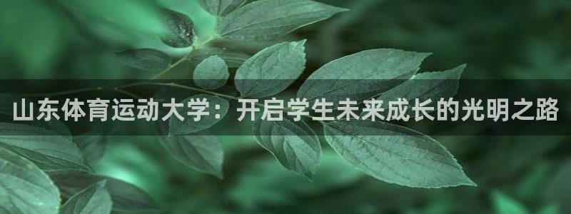kok中欧体育登录