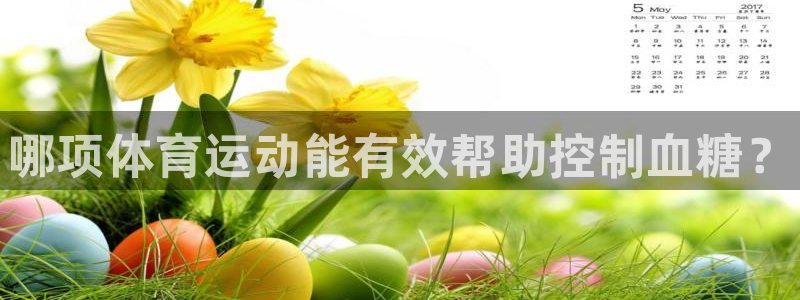中欧体育kok