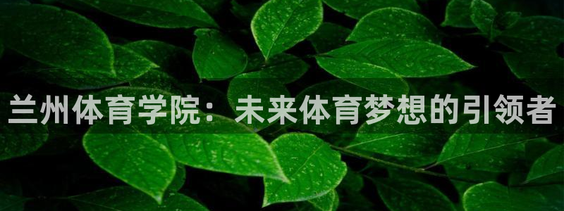 中欧体育kok官网首页
