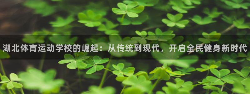 zoty中欧体育