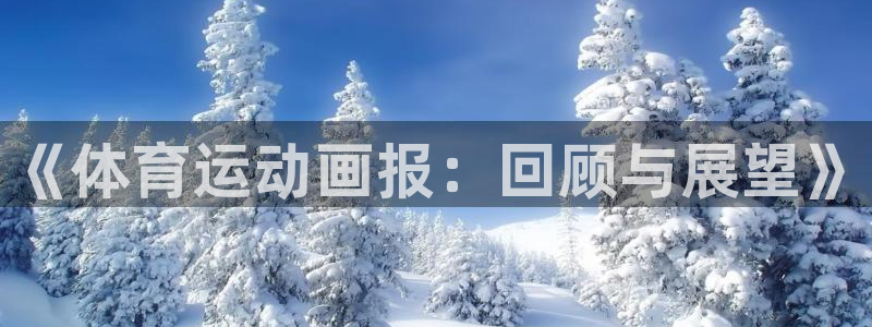 kok中欧体育