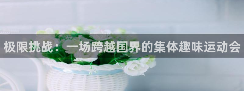 中欧体育客服