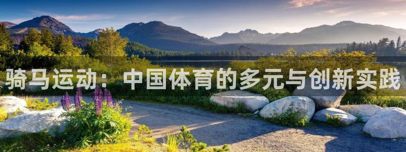 kok中欧体育