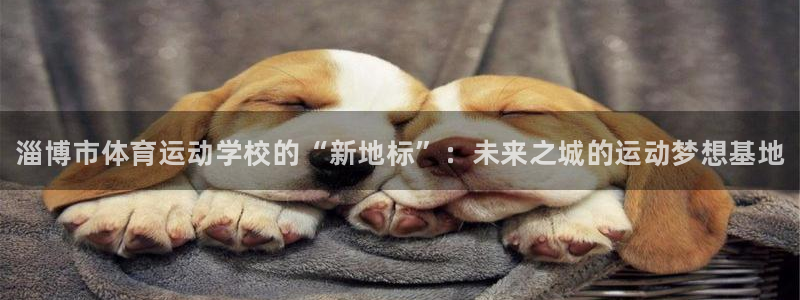 zoty中欧体育