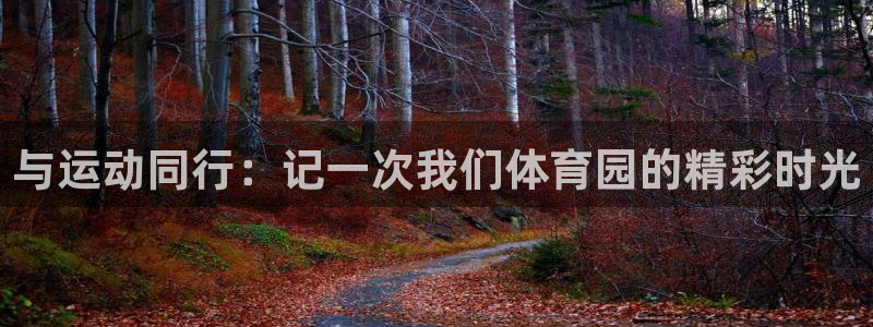 中欧体育网站