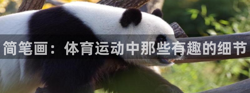 中欧体育kok官网首页