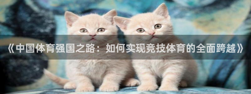 中欧体育zoty下载