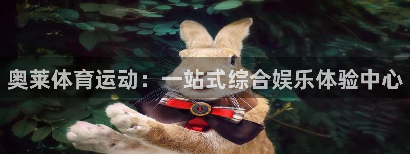中欧体育平台